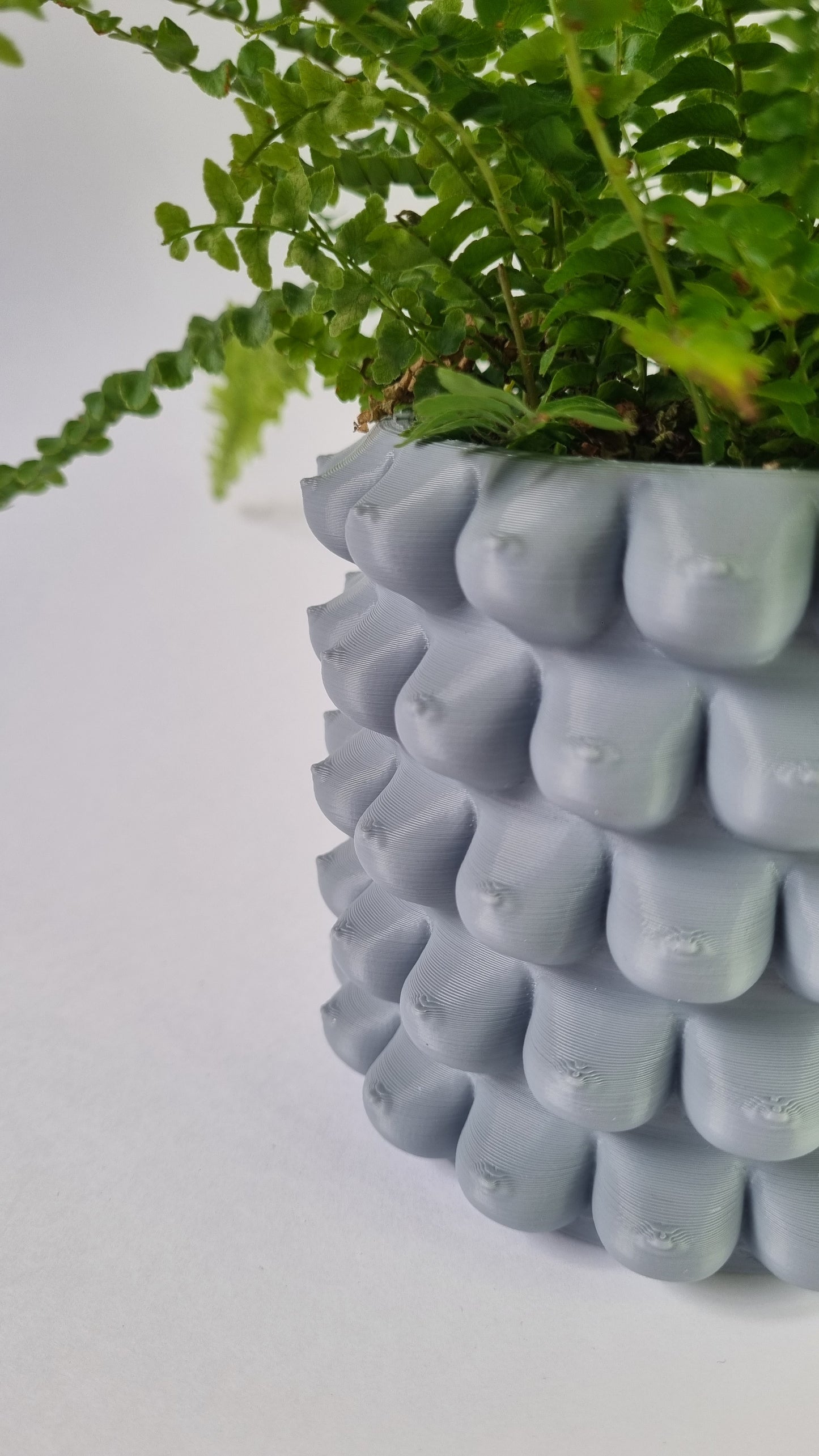 Bountiful Bloom - Plant Pot
