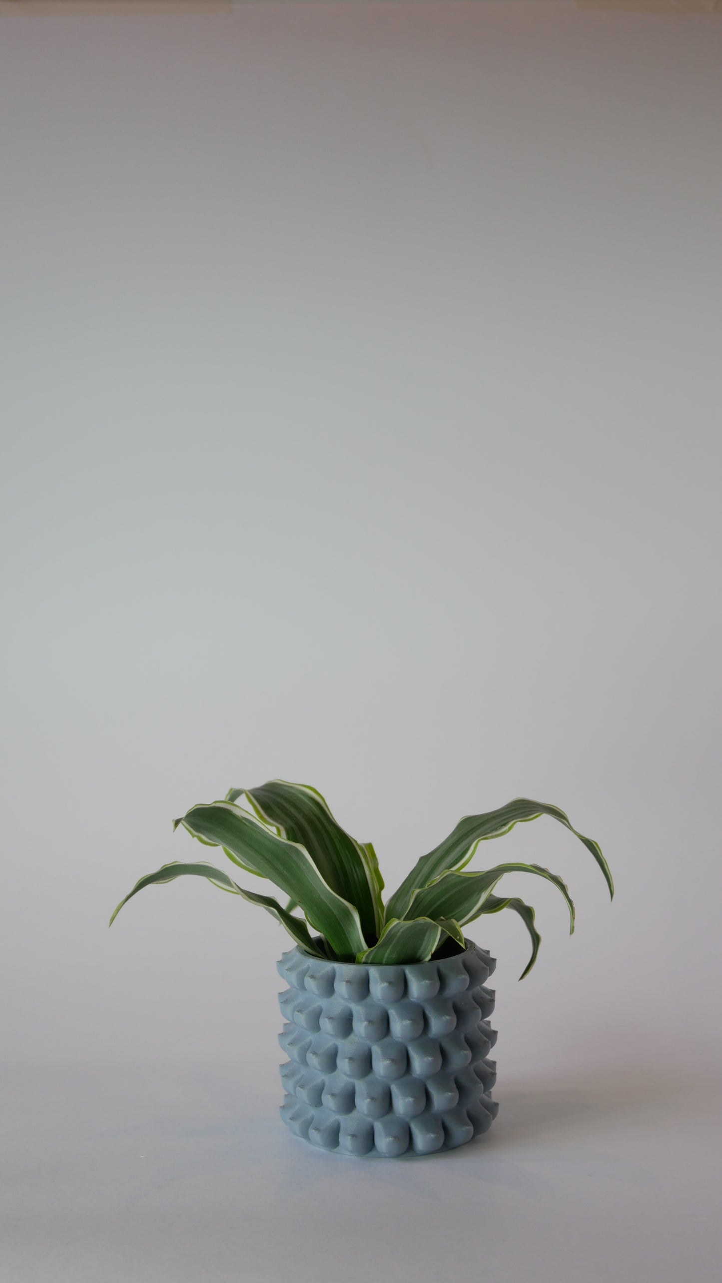 Bountiful Bloom - Plant Pot