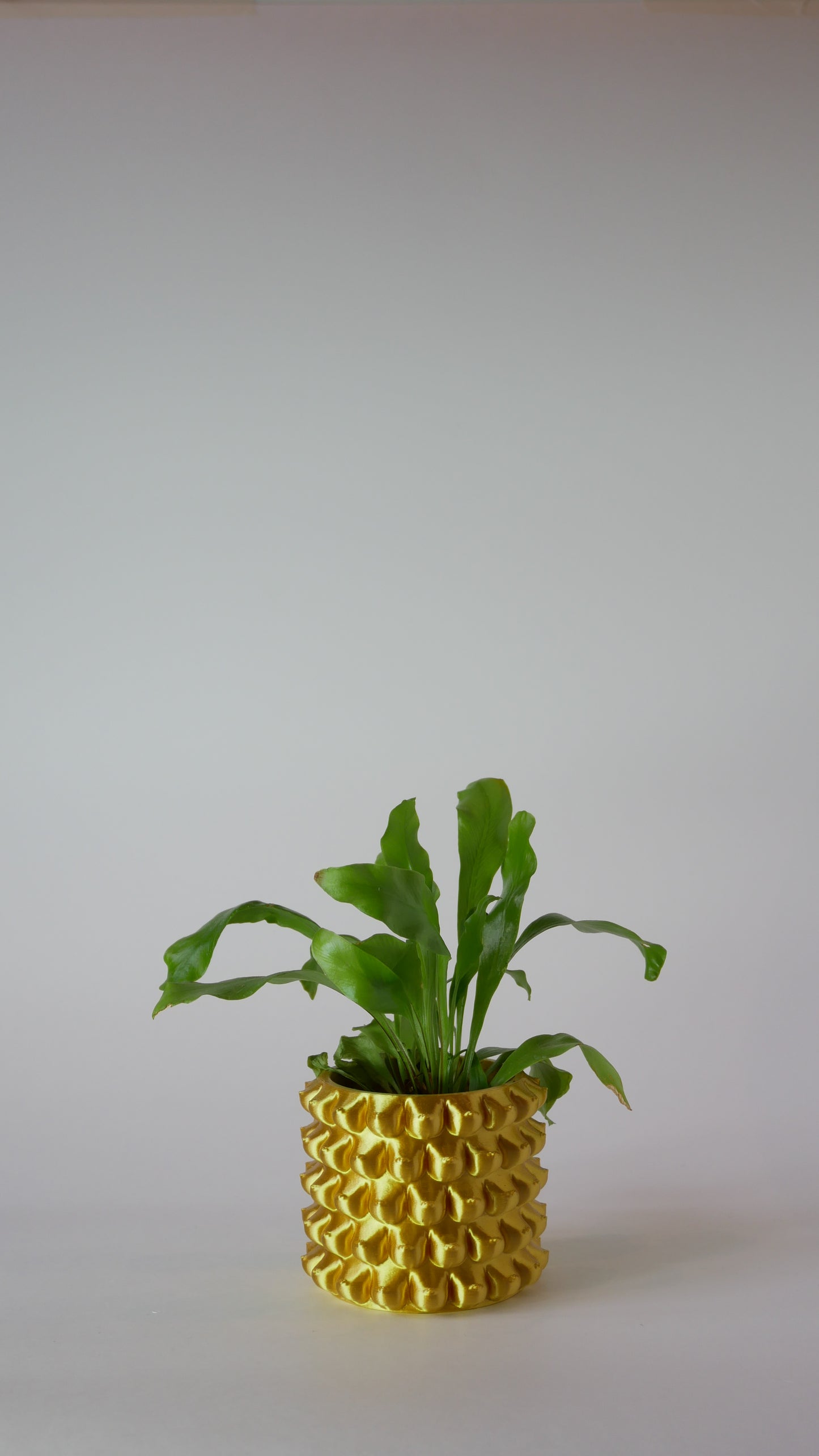 Petite Enigma - Plant Pot