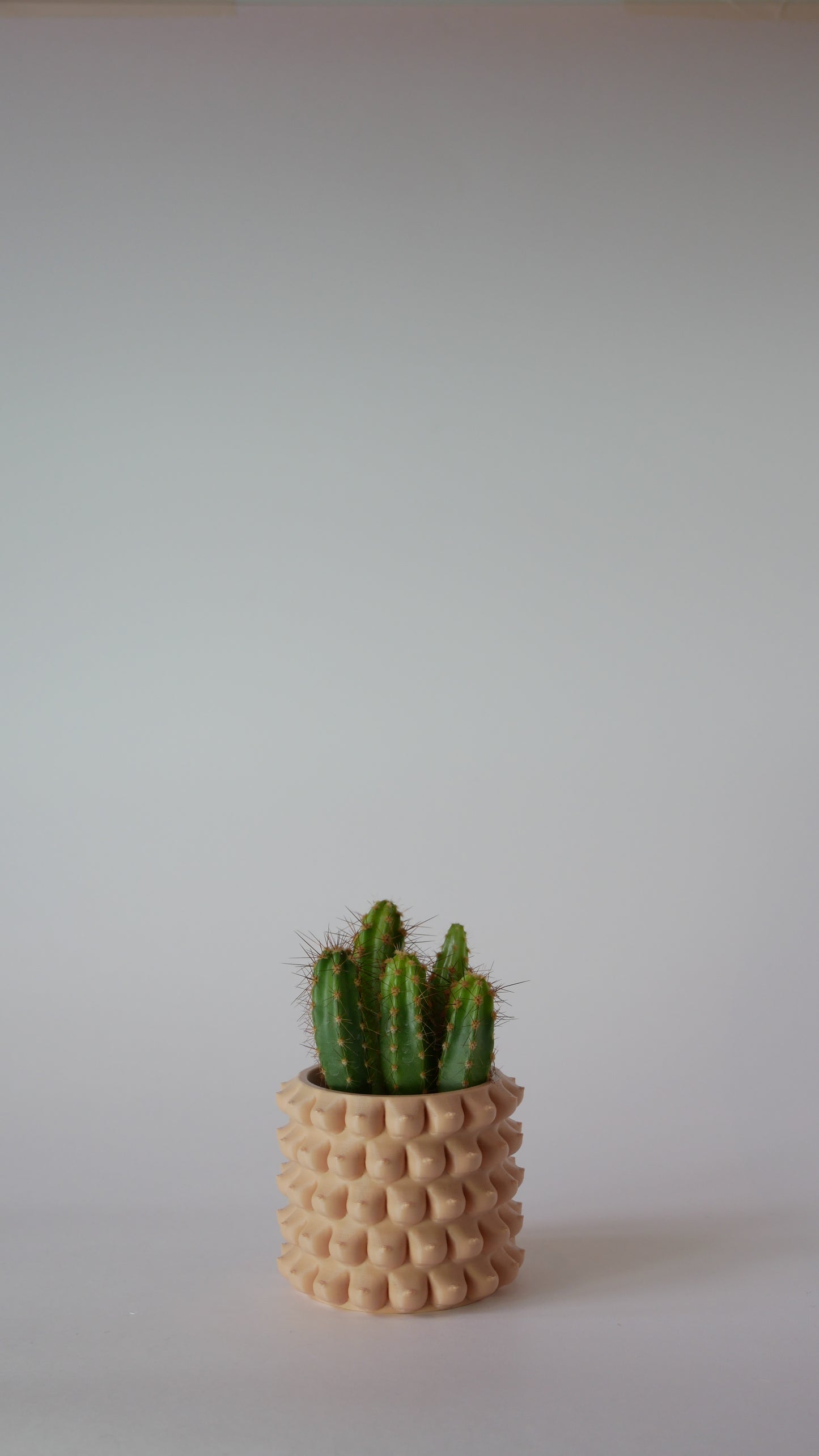 Petite Enigma - Plant Pot