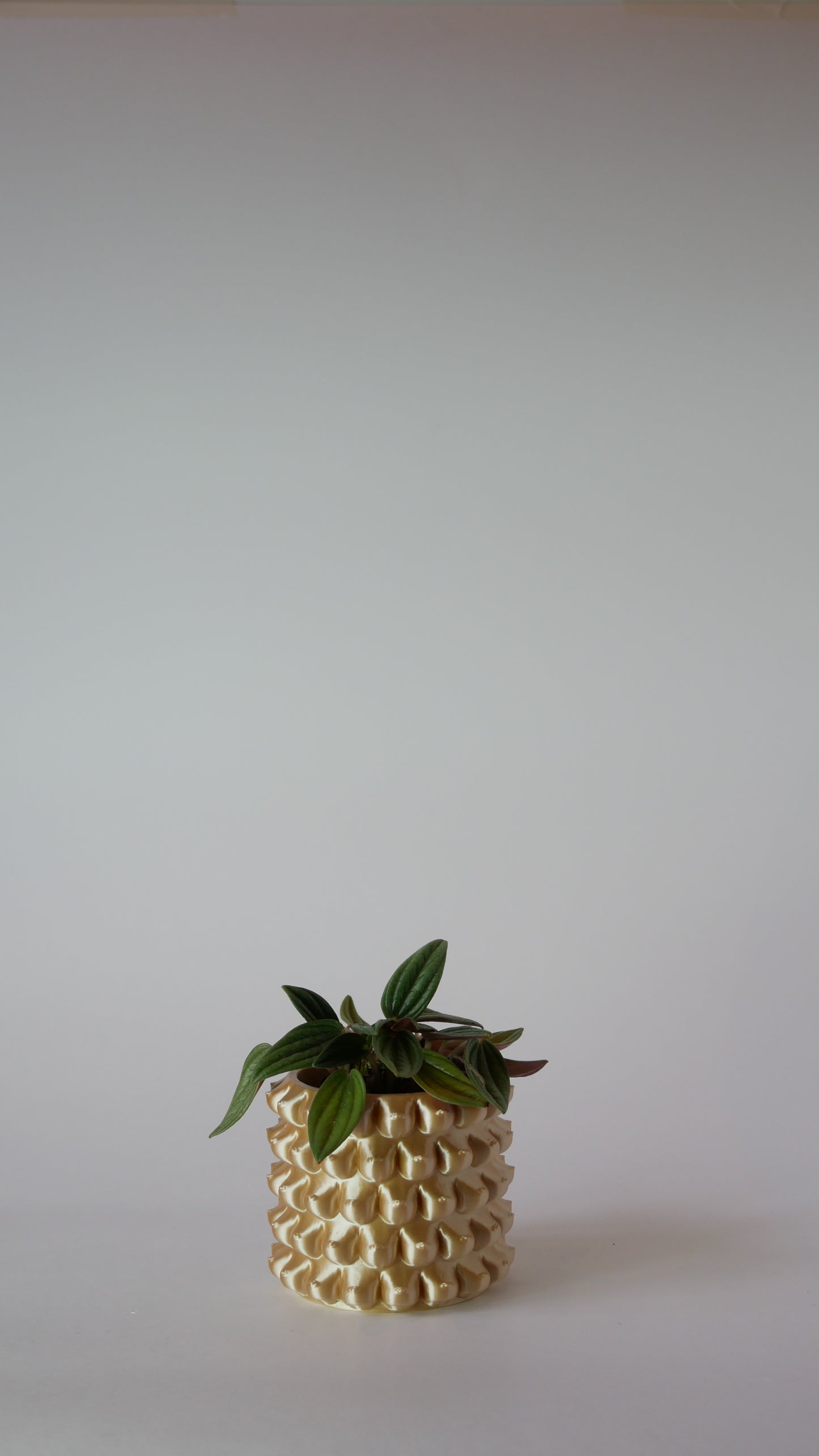 Petite Enigma - Plant Pot