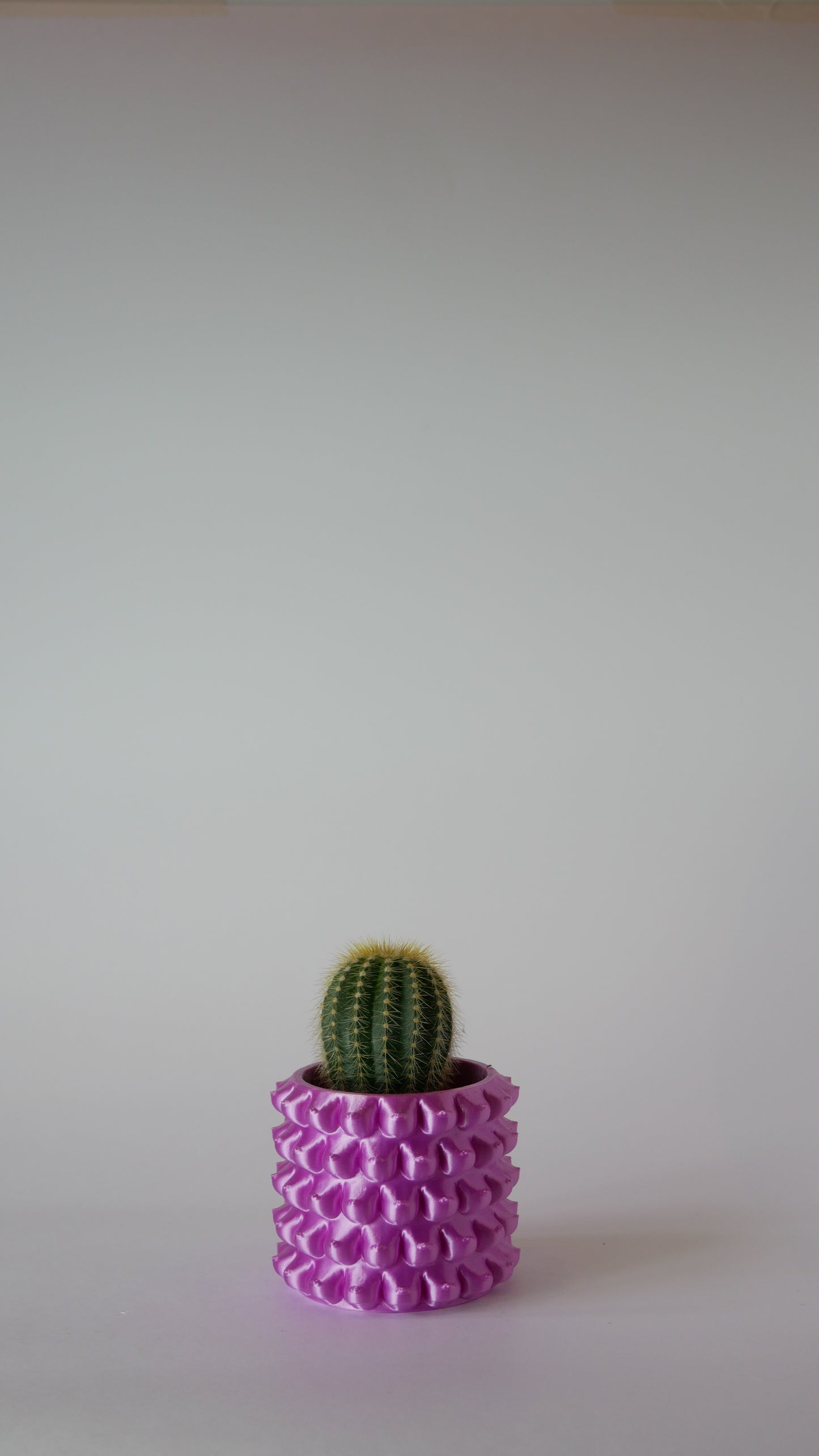Bountiful Bloom - Plant Pot