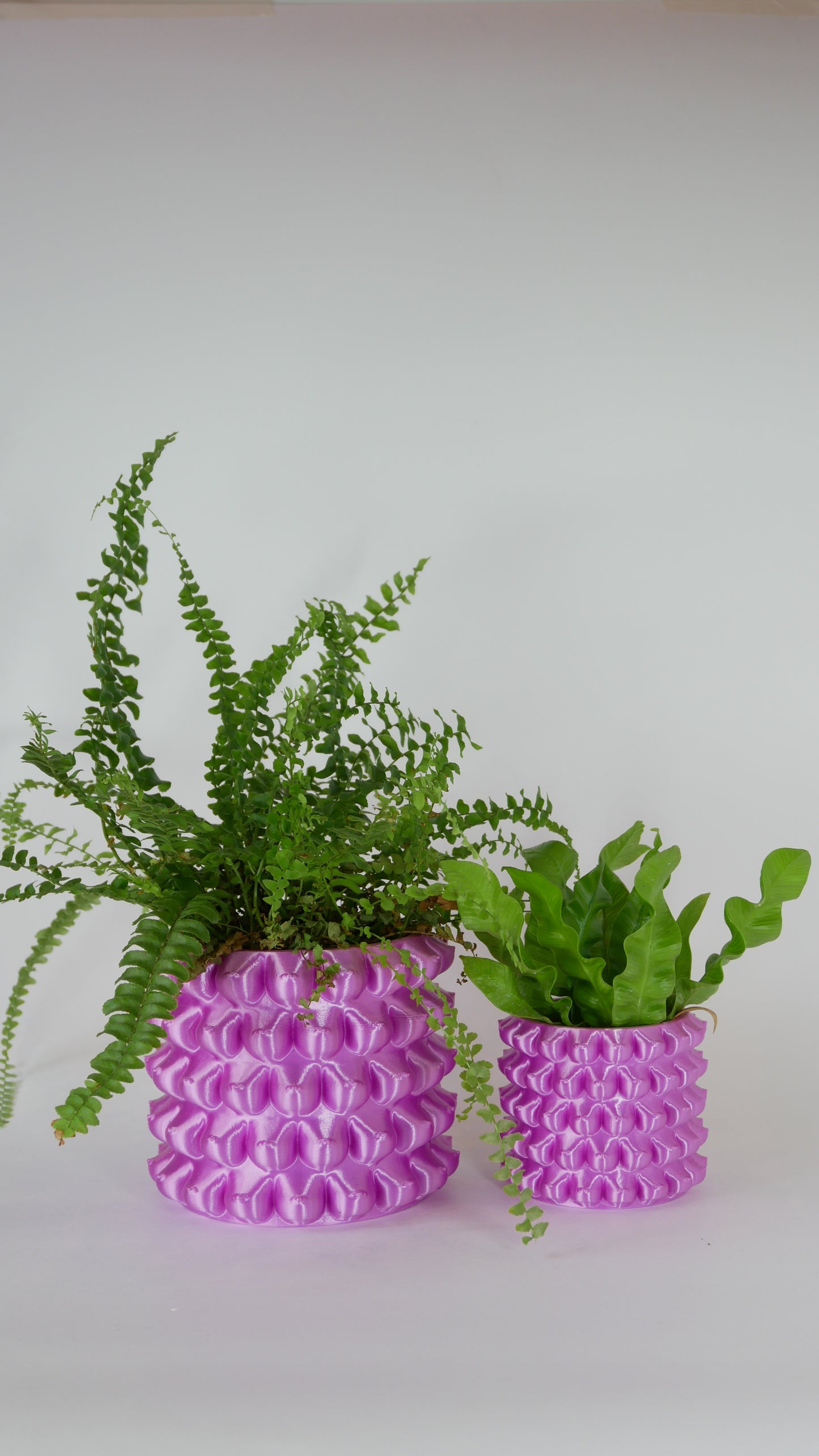 Bountiful Bloom - Plant Pot