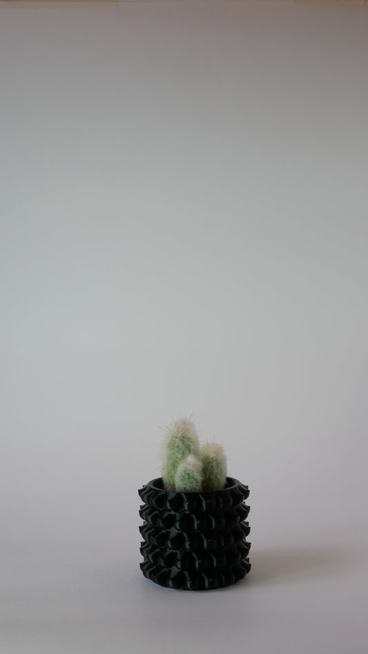 Petite Enigma - Plant Pot